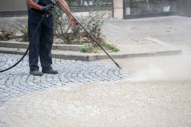 Best Fence Cleaning  in Colfax, LA