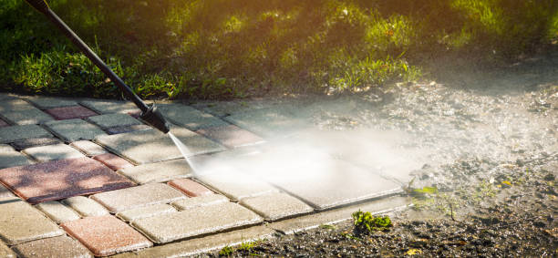 Best Animal Enclosure Cleaning  in Colfax, LA